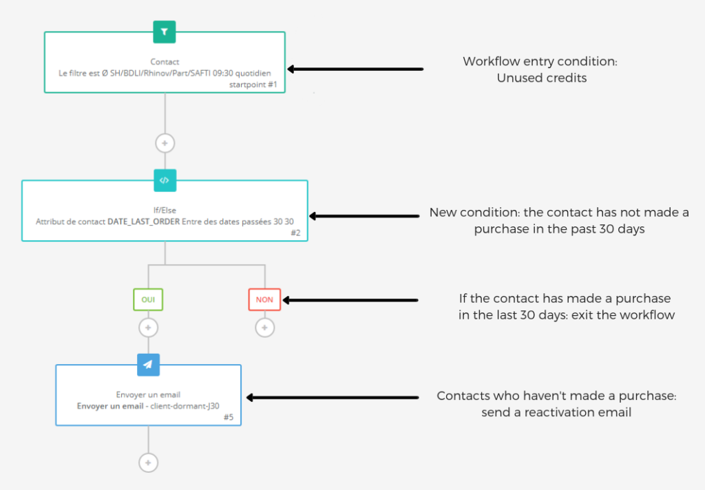 Unused credits email follow-up — example of a reactivation campaign from Rhinov