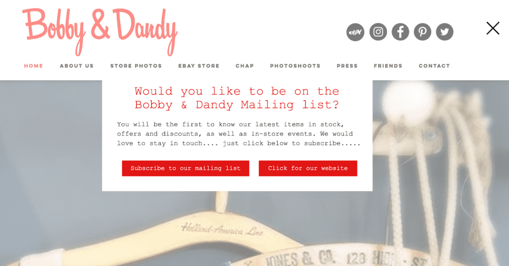 example of email sign up form from brand 'Bobby & Dandy'