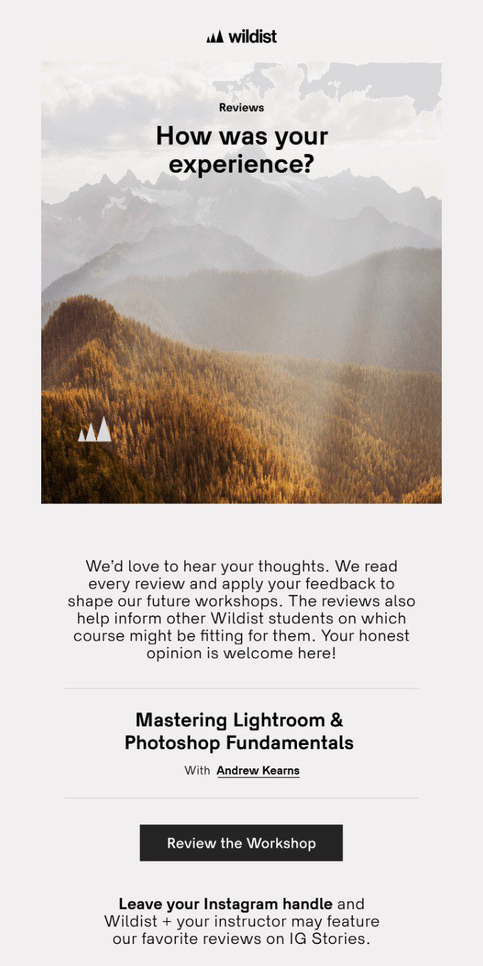 Fall newsletter ideas by Wildist, showing a foggy mountain landscape and customer reviews. 