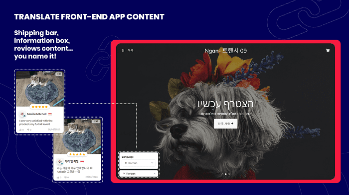 عبر تطبيق shopify