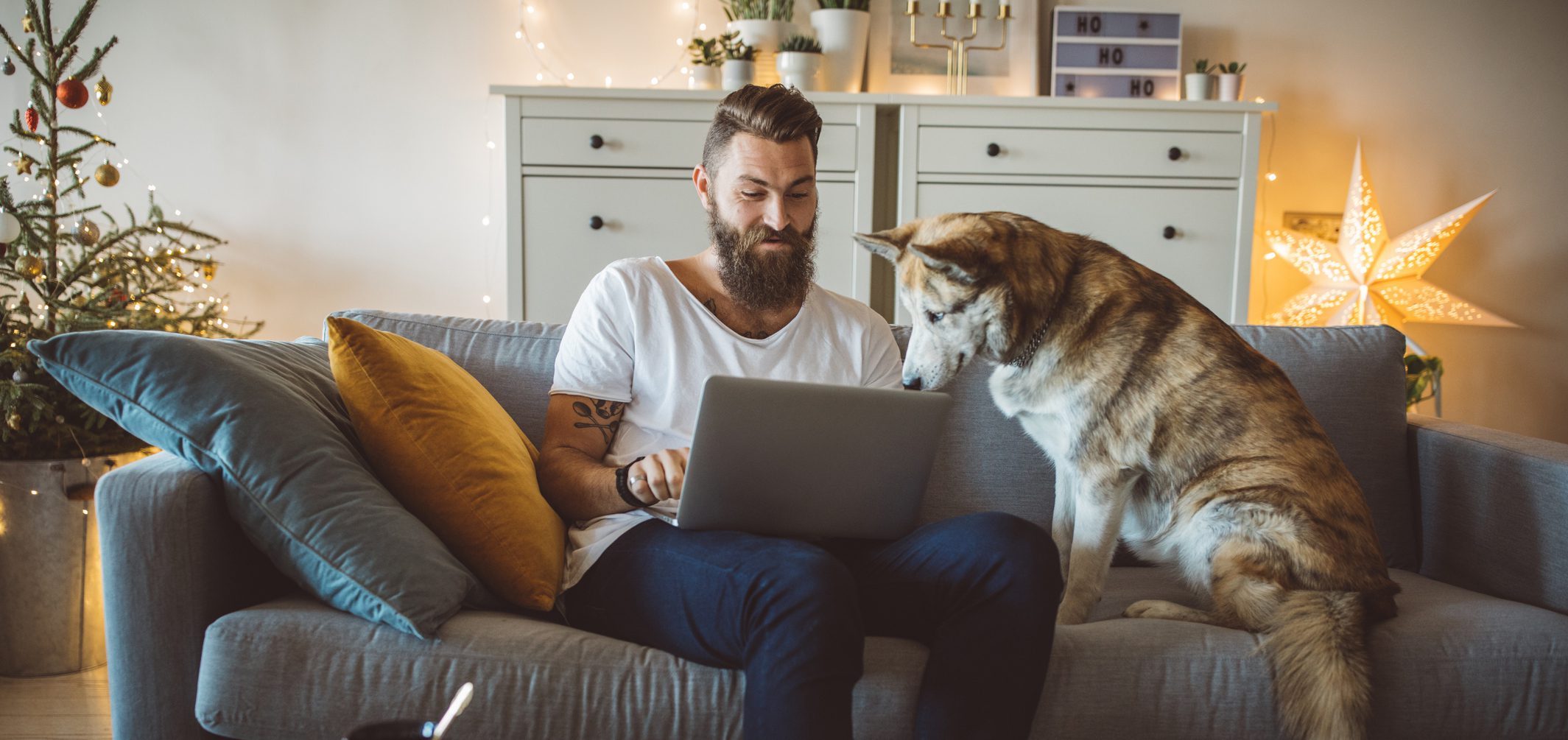 Man business owner with his laptop on his couch with his dog. There are holiday lights around them.