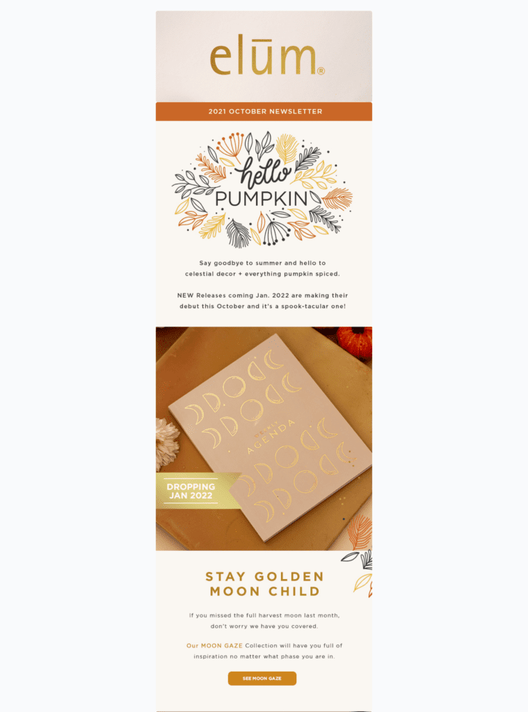 Fall newsletters by Elum showing fall leaves and advertising pumpkin spice products. 