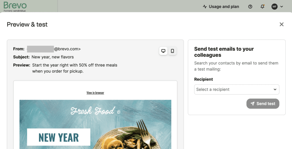 Email campaign preview and test page with an option to send the email to a colleague to test the campaign.