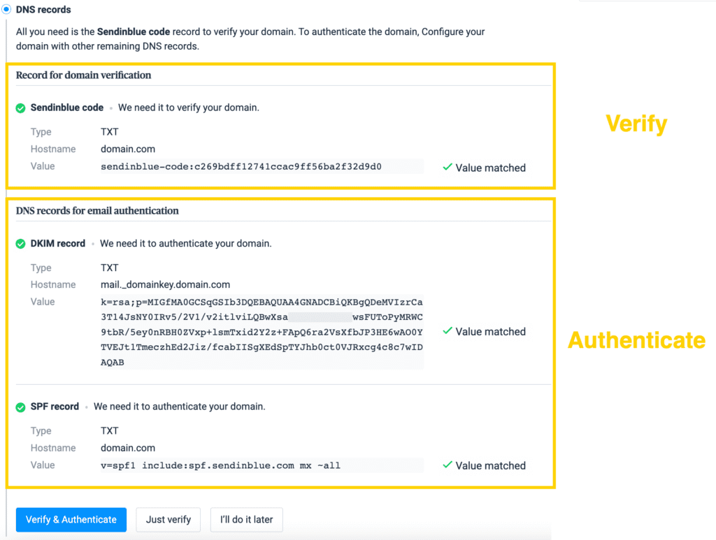 DNS records authentication on Brevo as part of setting up WP mail SMTP.