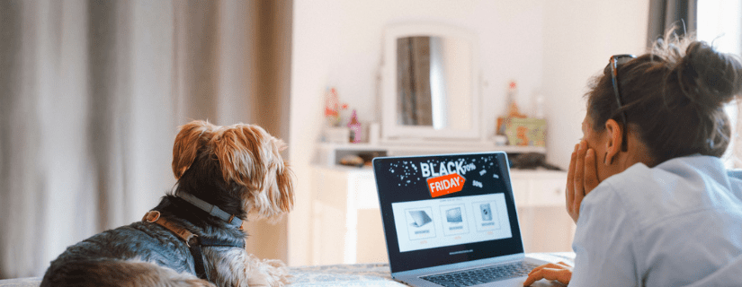 Rocket dog sales black friday sale