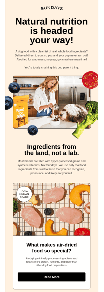 Email marketing campaign example by Sundays, a dog food brand.