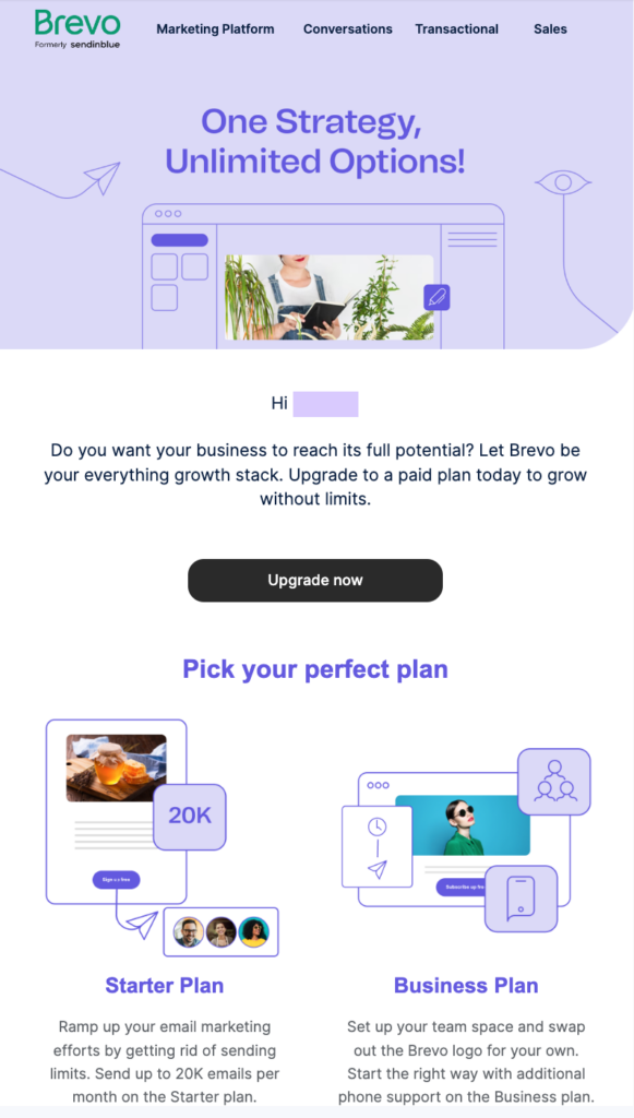 SaaS email marketing example: upgrade-to-paid email by Brevo